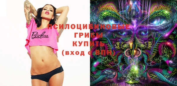 ПСИЛОЦИБИНОВЫЕ ГРИБЫ Волоколамск