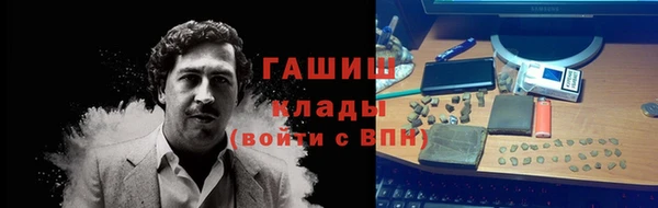 стафф Осташков
