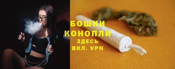 прущие грибы Верея