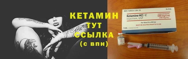прущие грибы Верея