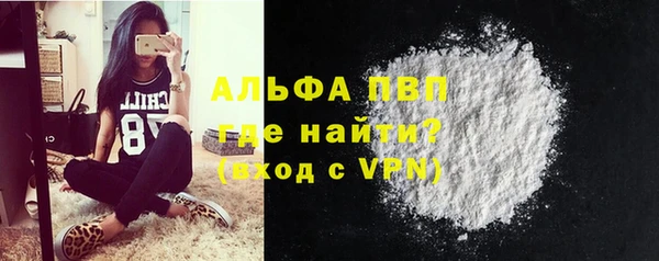 прущие грибы Верея