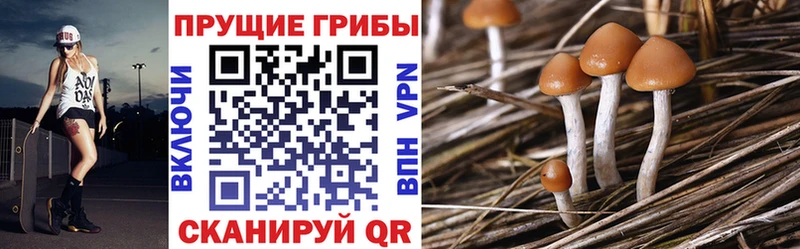 Галлюциногенные грибы мухоморы  Егорьевск 